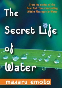 Image of The Secret life of water