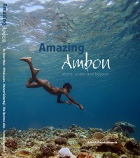 Image of Amazing Ambon Above, Under and Beyond