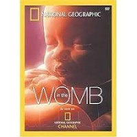 Image of In The Womb