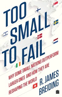 Image of Too Small to Fail